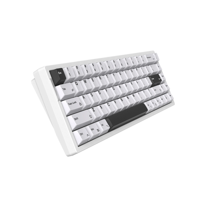 Magger68 Ultra White HE Magnetic Gaming Keyboard E-Cold