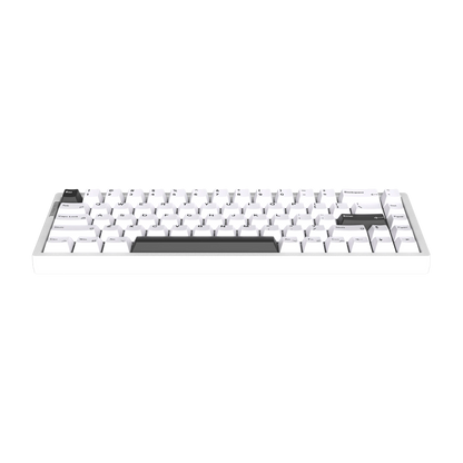 Magger68 Ultra White HE Magnetic Gaming Keyboard E-Cold